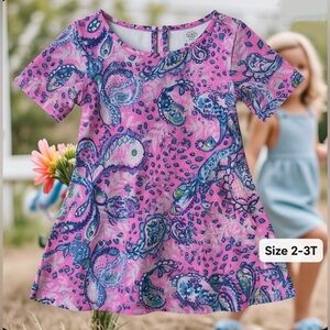 Girl’s Mini Marlowe Pink Madras Paisley knit Dress. Size 2-3T.
